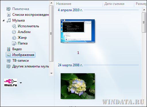Изображения в Windows Media Player 12