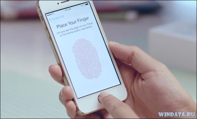 iphone 5s отпечатки пальцев